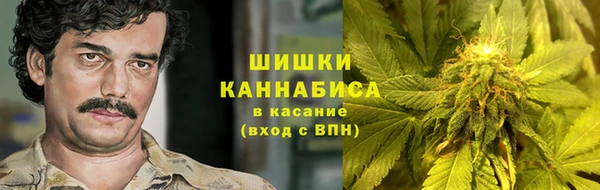 первитин Каменка