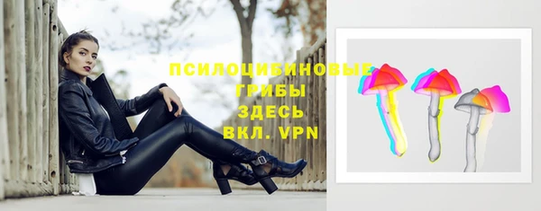PSILOCYBIN Инсар