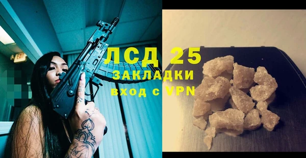 индика Майский
