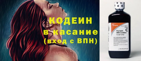 соль ск Каменногорск