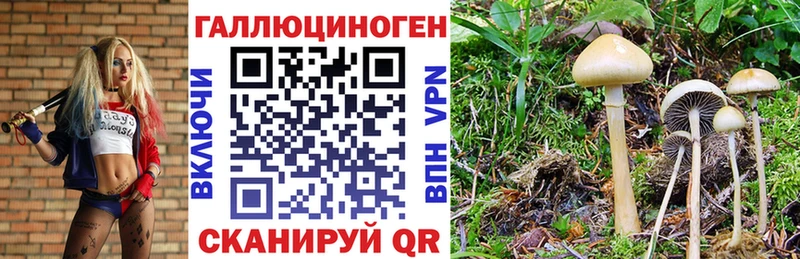 Галлюциногенные грибы прущие грибы  наркотики  Навашино 